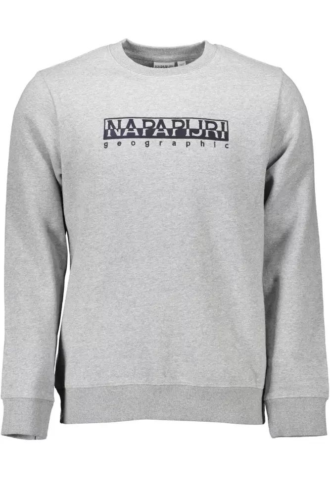 Napapijri Chic – Sweatshirt aus Bio-Baumwolle mit Stickerei in Grau