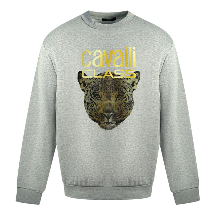 Roberto Cavalli Mens Qxt66B Cf062 Sweater Grey