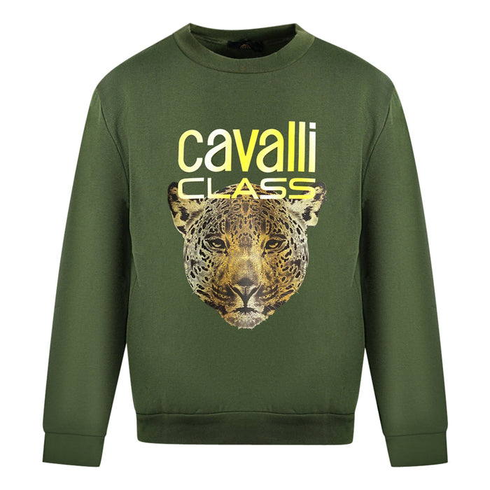 Roberto Cavalli Mens Qxt66B Cf062 Sweater Olive