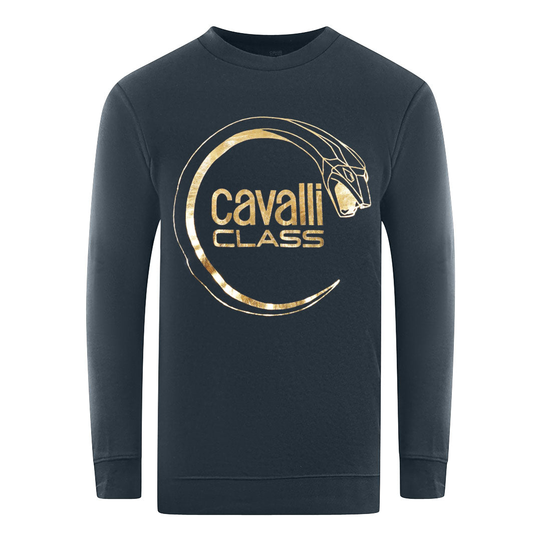 Cavalli Class Herren Pullover Rxt65A Cf062 04926 Marineblau