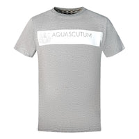 Aquascutum Mens Tsia117 94 T Shirt Grey